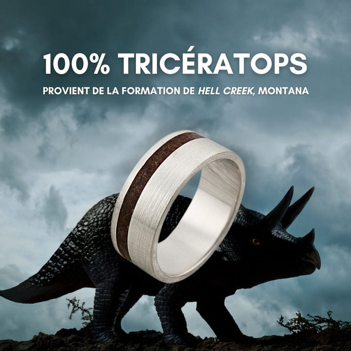 Mathieu Blanchard Bagues Bague Triceratops du Montana