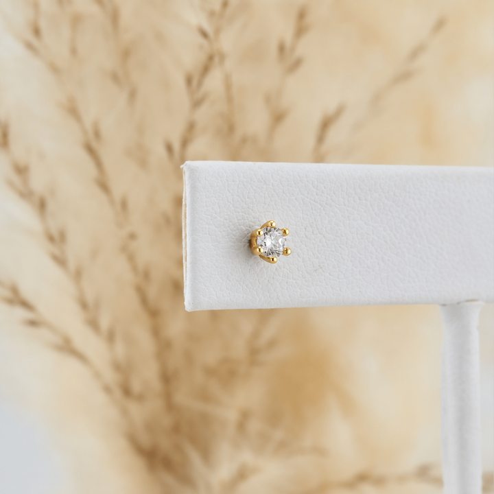 Classic sterling silver earrings