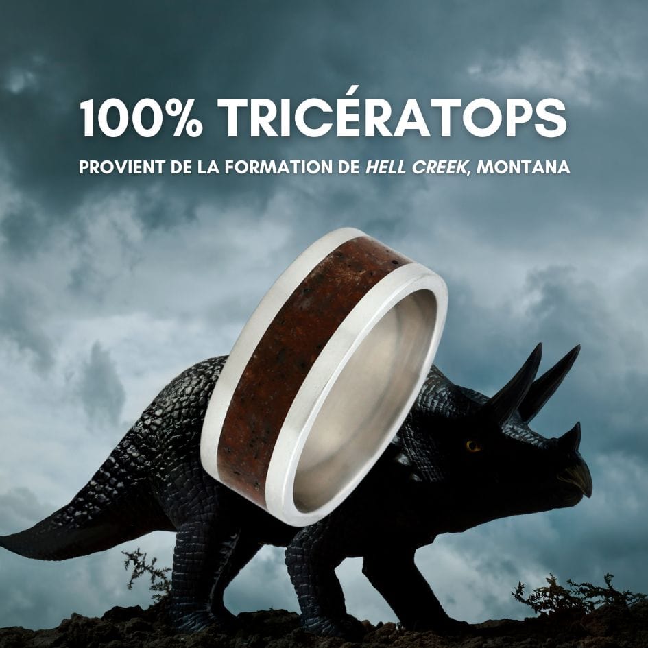 Bague Triceratops du Montana Mathieu Blanchard Bagues Jonc Triceratops du Montana en argent 925, or 14K ou or 18K | Mathieu Blanchard Mathieu Blanchard Joaillerie