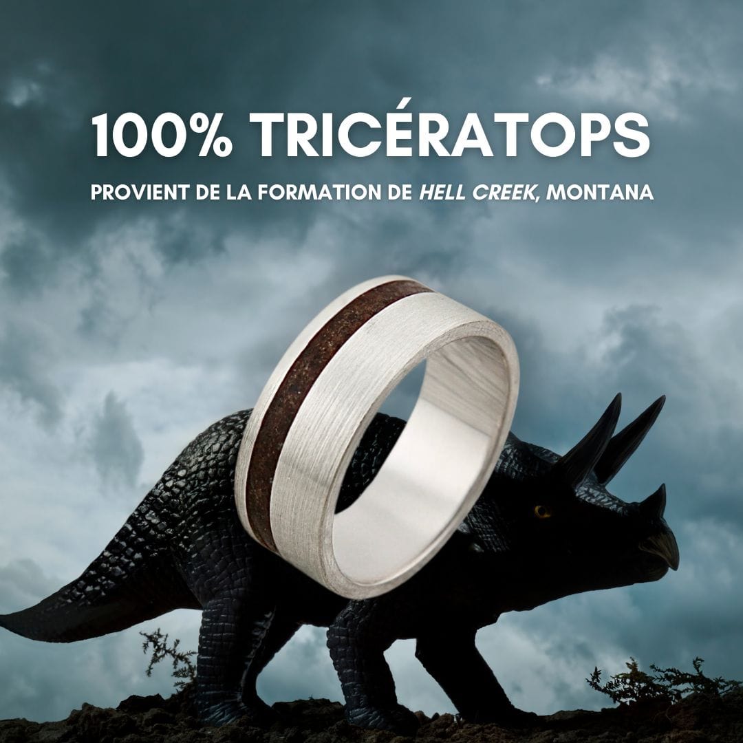 Mathieu Blanchard Bagues Bague Triceratops du Montana