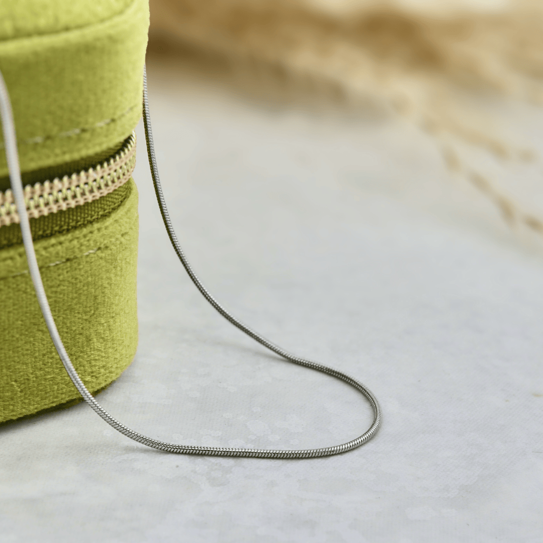 Mathieu Blanchard Bracelets de cheville Chaine Serpentine en acier