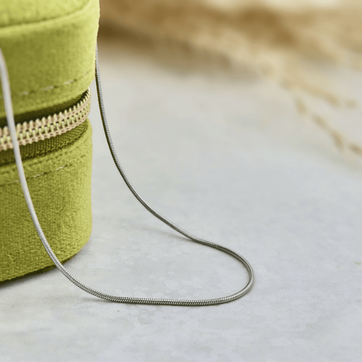 Mathieu Blanchard Bracelets de cheville Chaine Serpentine en acier