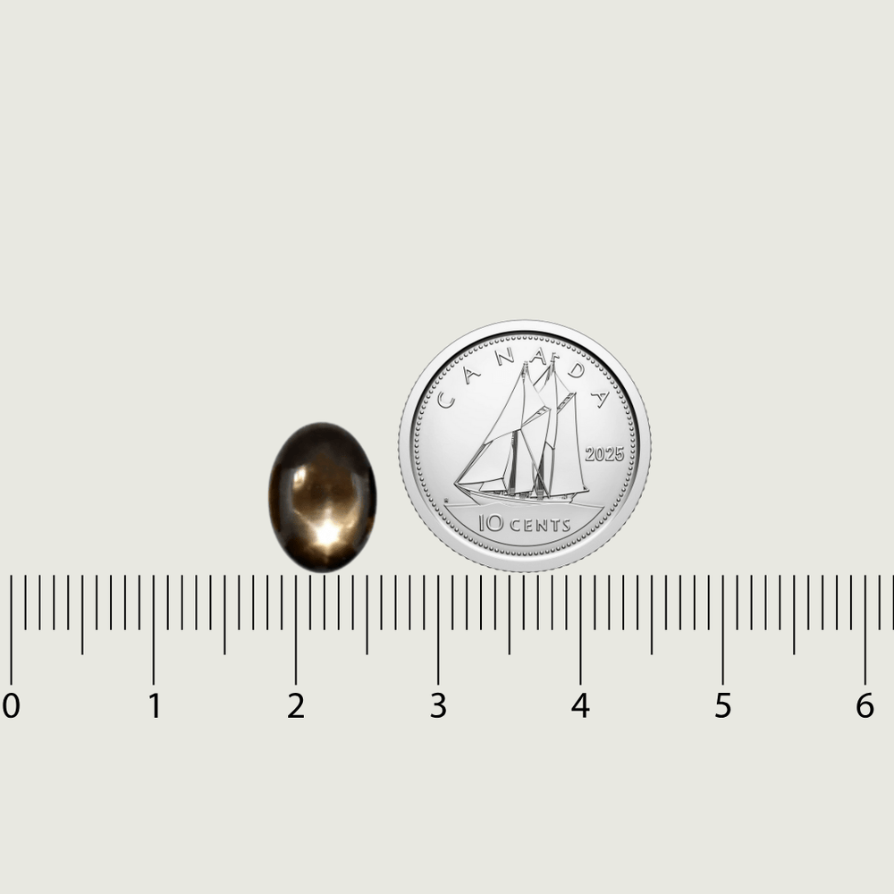 Mathieu Blanchard Saphir étoilé noir Naturel Oval Cabochon 7.8x10.5 mm