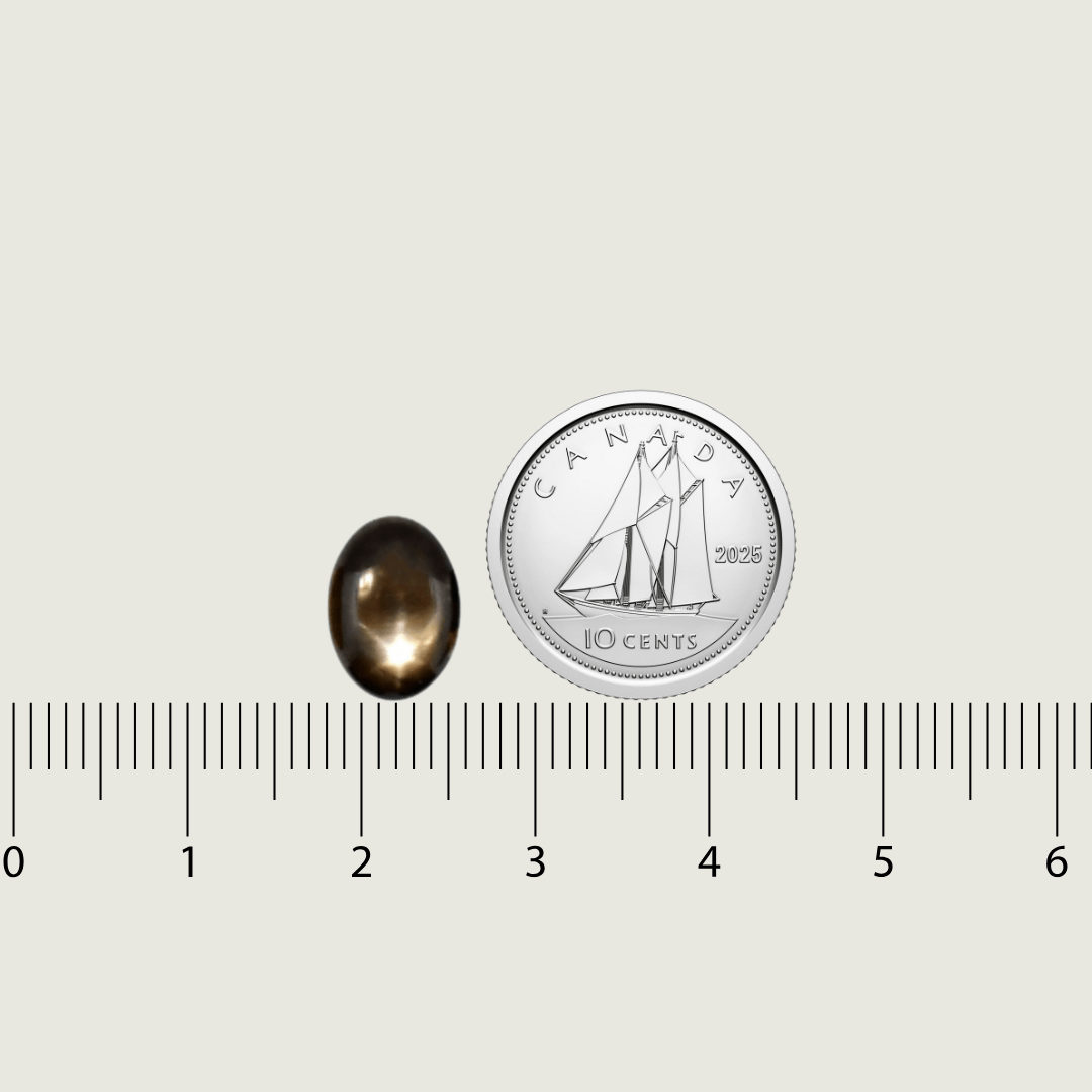 Mathieu Blanchard Saphir étoilé noir Naturel Oval Cabochon 7.8x10.5 mm