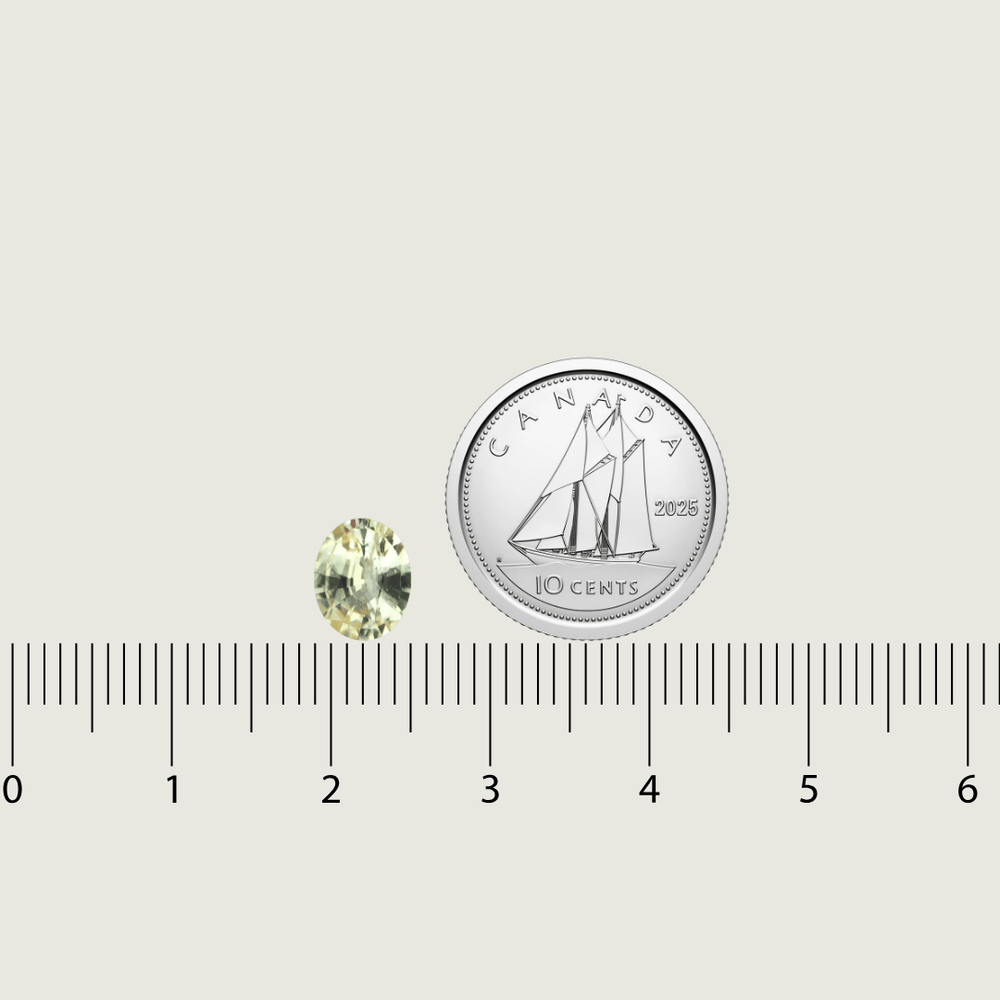 Mathieu Blanchard Saphir Naturel Amarillo Taille Oval 6.3 x 7.8 mm